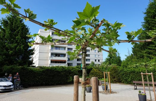 6173b182-d955-41ed-a1b0-39d031f9109b